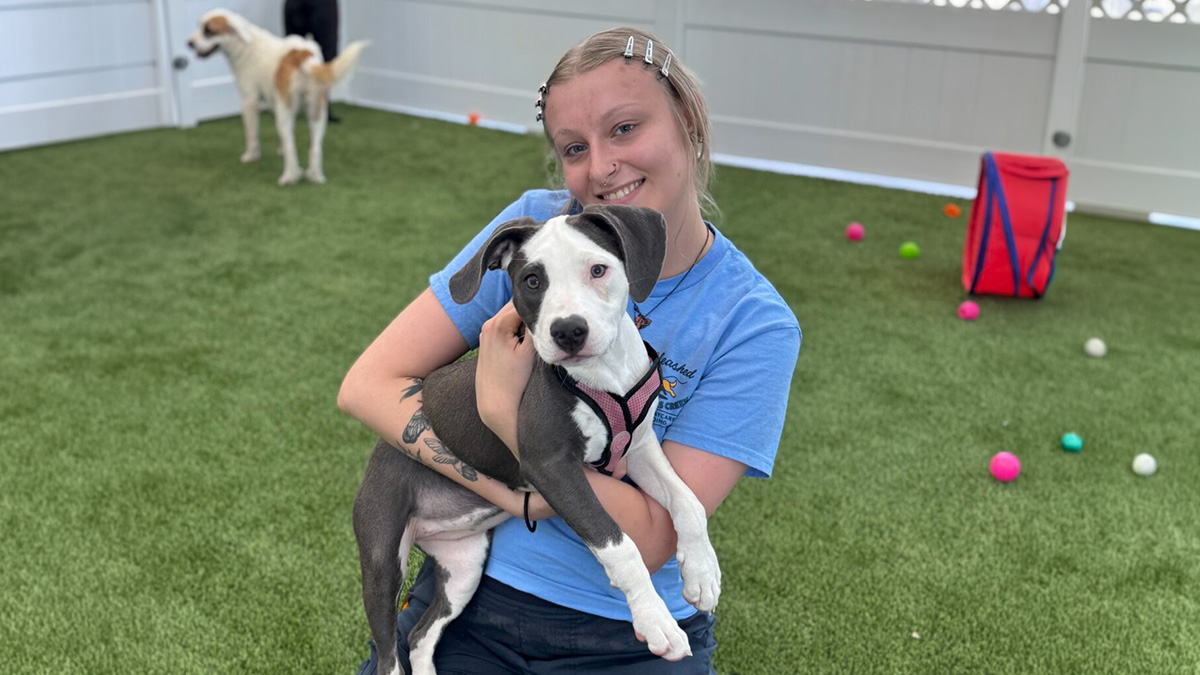 corner of modern building