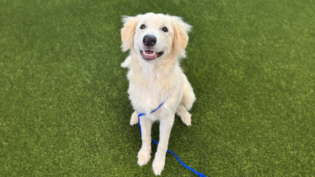 corner of modern building