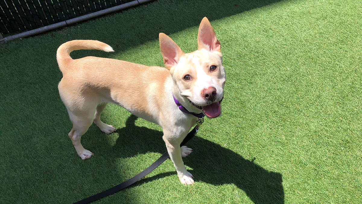 corner of modern building