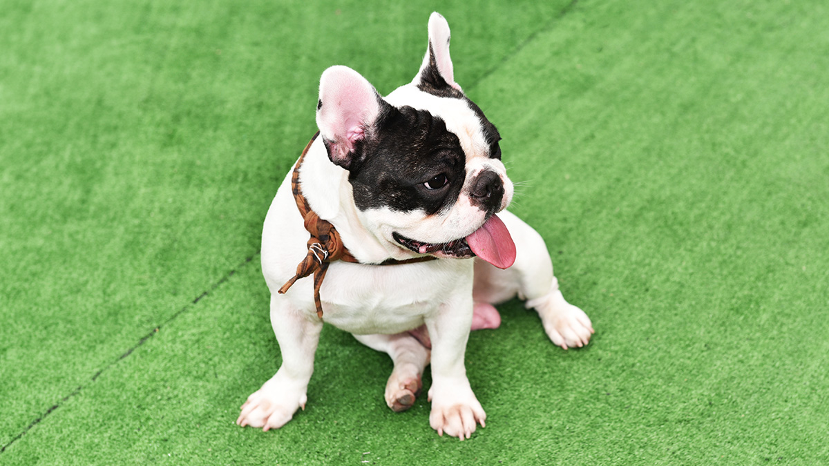 corner of modern building