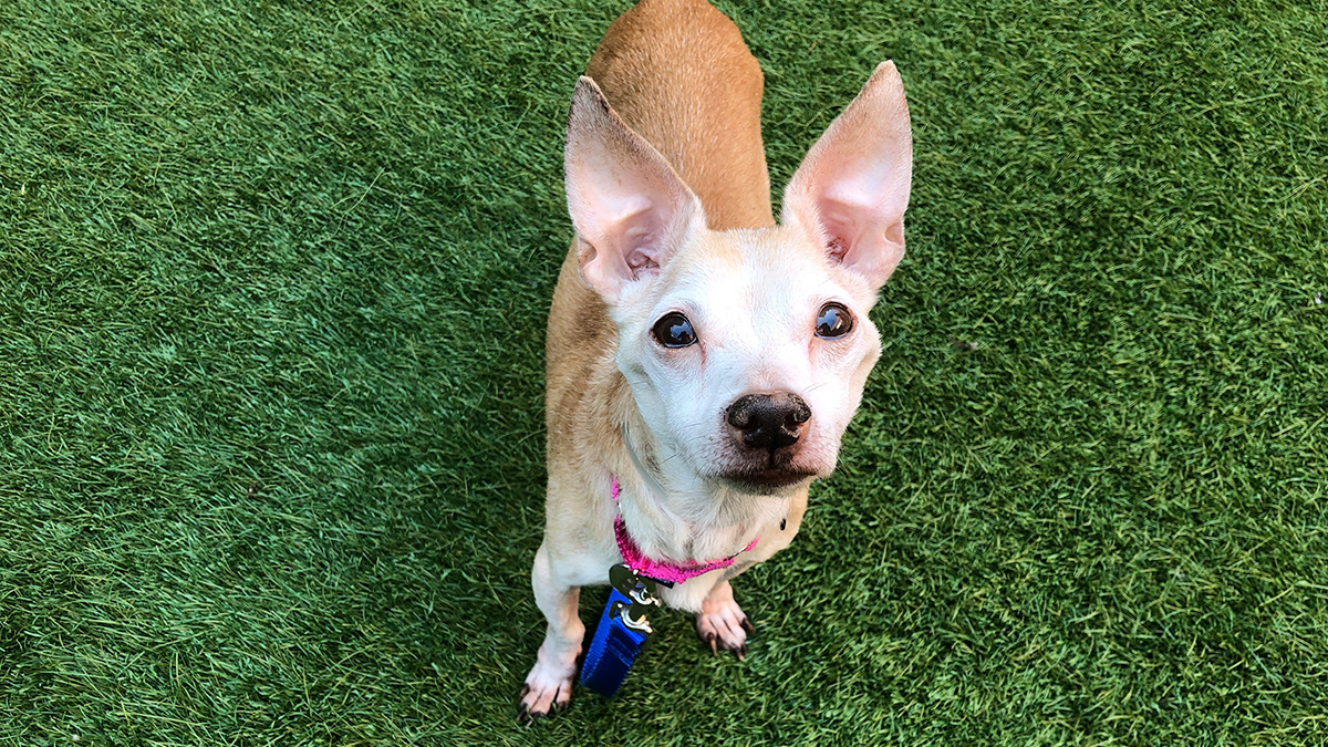 corner of modern building