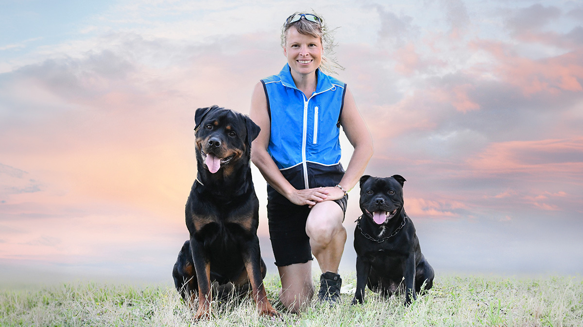 veterinarian holding kitten