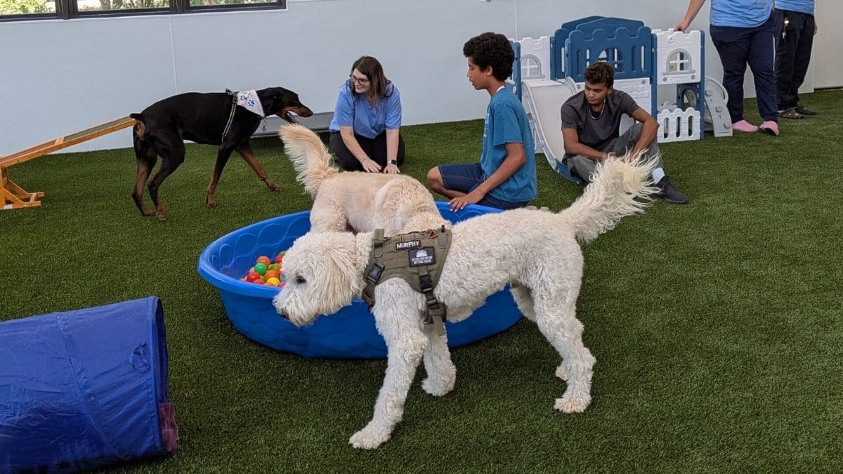 corner of modern building