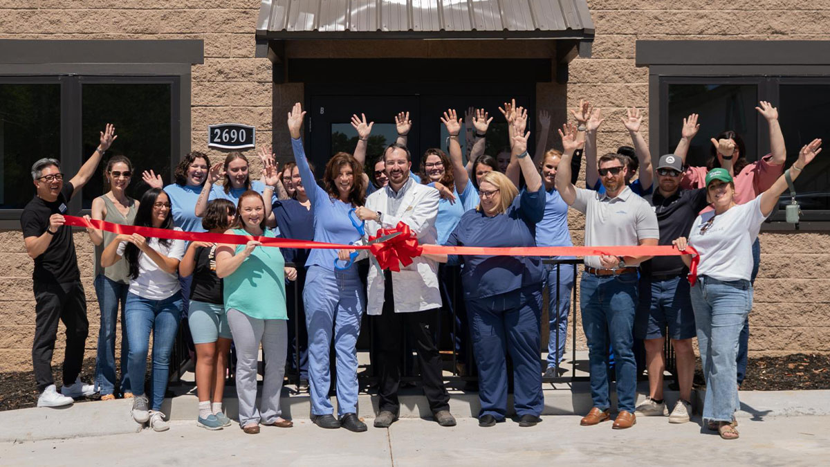 corner of modern building