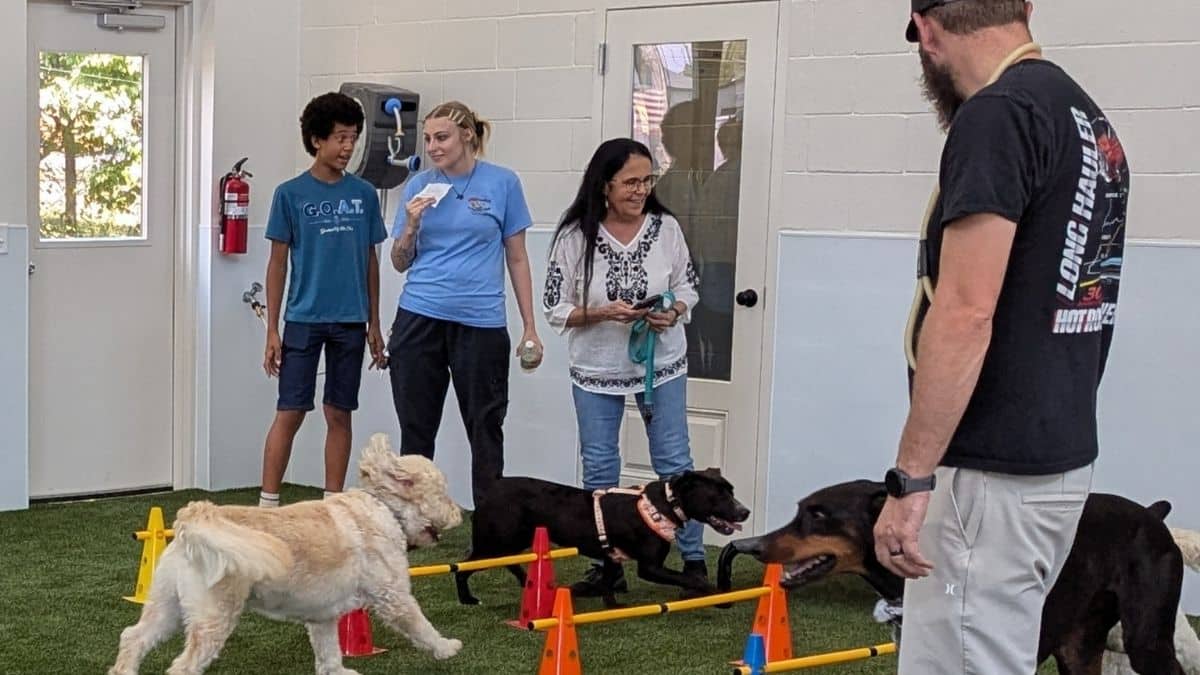 corner of modern building