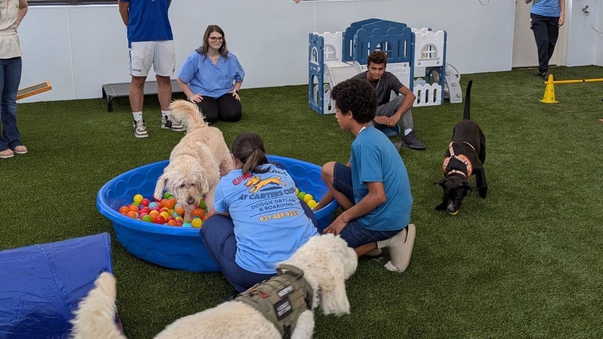 corner of modern building